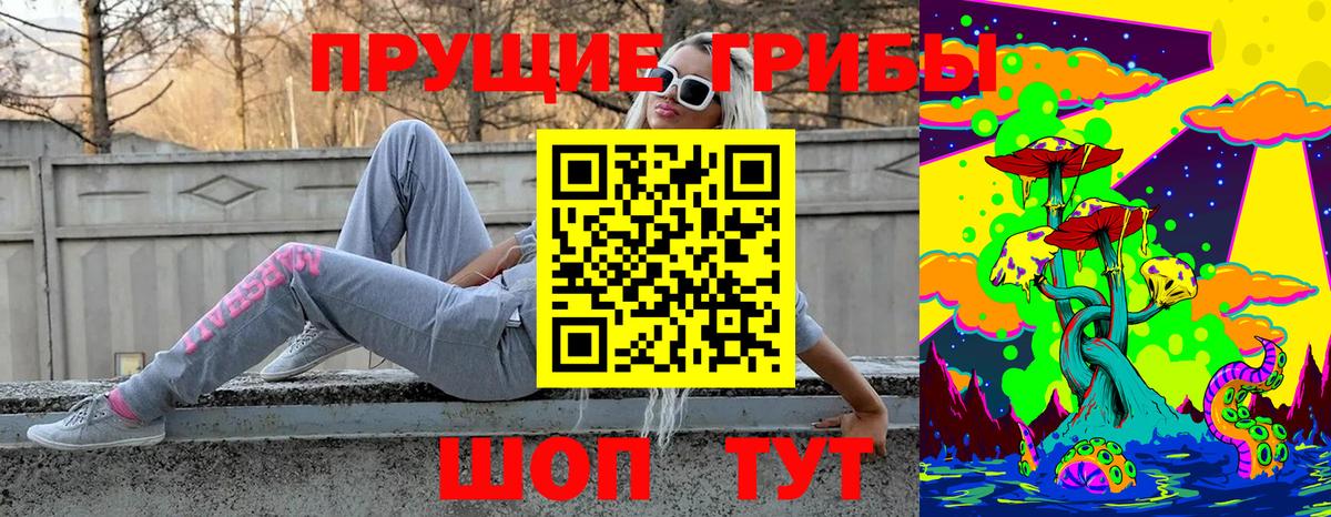 Заволжье  Галлюциногенные грибы Cubensis  Вход с VPN 