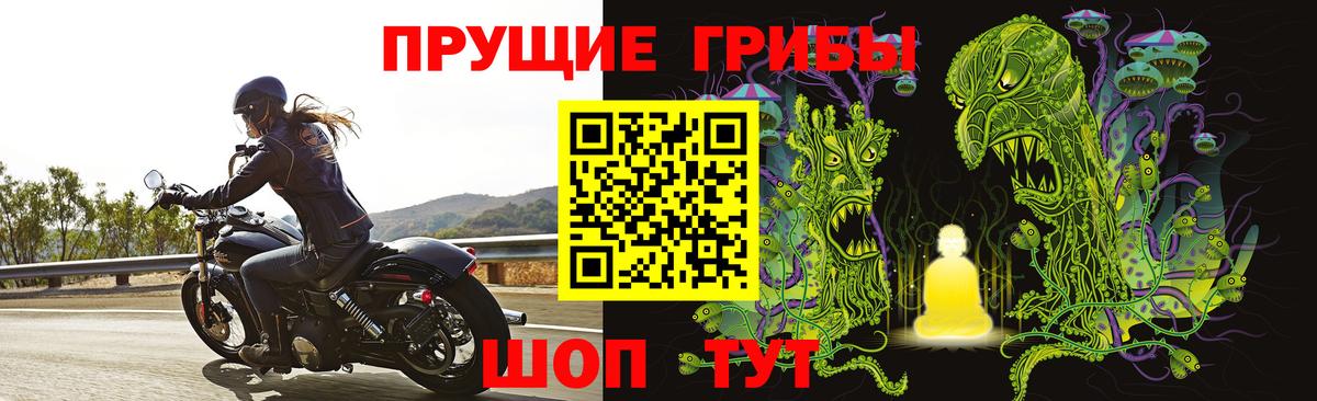 Галлюциногенные грибы Psilocybe Заволжье